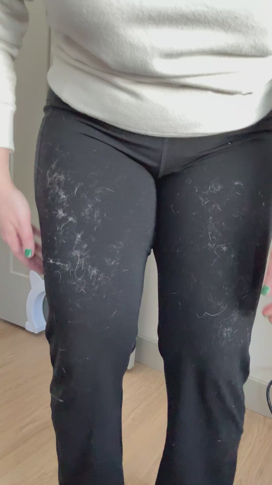 Remove Pet Hair in Seconds – No Sticky Tape, No Mess, No Stress 🐾